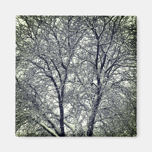 Winter Snow Tree Branches Photograph Magnet (Vorne)