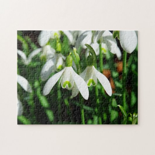 Winter Snowdropps Frühling Blume Bulb Bouquet Puzzle (Horizontal)