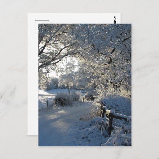Winter Snowfall Postkarte (Vorne/Hinten)