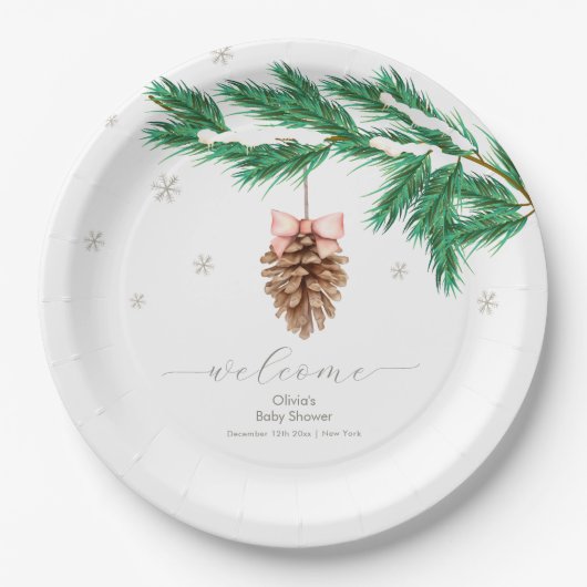 Winter Snowflake Pine cone Baby Shower Welcome Pappteller (Vorderseite)