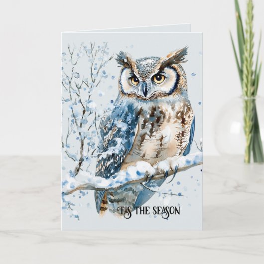 Winter Snowflakes Blue Owl Christmas Karte (Vorderseite)