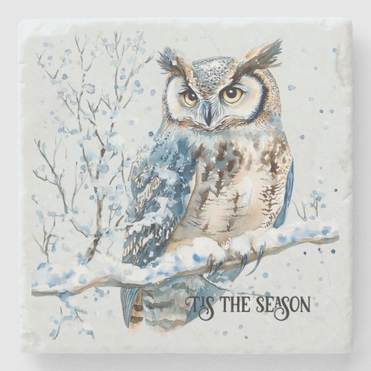 Winter Snowflakes Blue Owl Christmas Snow Steinuntersetzer (Vorderseite)