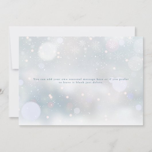 Winter Snowflakes Script Frohe Weihnachten (Rückseite)