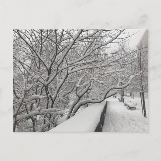 Winter Snowstorm Riverside Park Trees New York NYC Postkarte (Vorderseite)