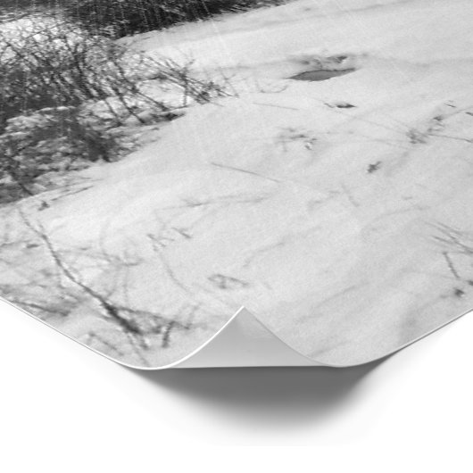 Winter Solstice Poster (Ecke)