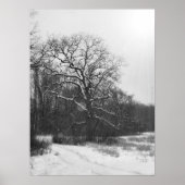 Winter Solstice Poster (Vorne)