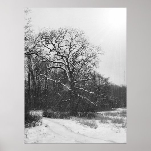 Winter Solstice Poster (Vorne)