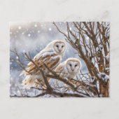 Winter Solstice Weihnachten Owls Snow (Vorderseite)