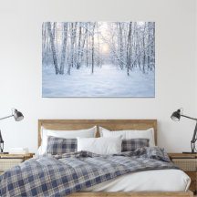 Winter-Sonnenlicht im stillen Birkenwald