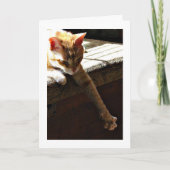 "Winter-Sonnenschein " Karte (Vorderseite)