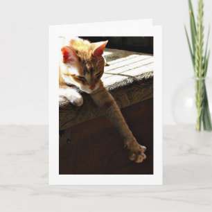 "Winter-Sonnenschein " Karte