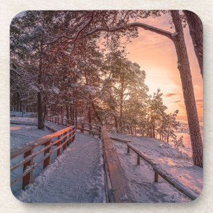 Winter Sonnenuntergang im Kiefernwald in der Nähe Getränkeuntersetzer