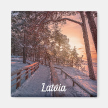 Winter Sonnenuntergang im Kiefernwald nahe dem Mee