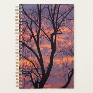 Winter-Sonnenuntergangs-Planer Planer