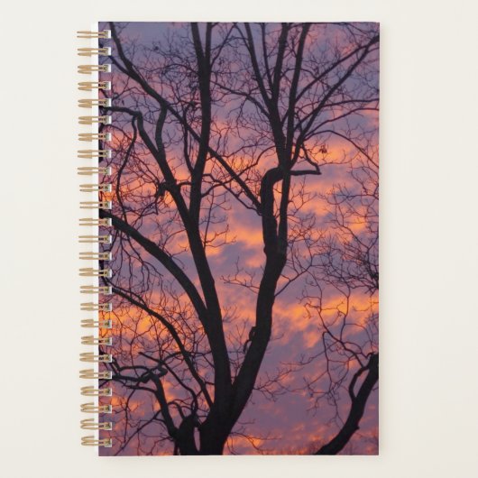 Winter-Sonnenuntergangs-Planer Planer (Vorderseite)