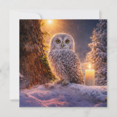 Winter-Sonnenwende-Eule in der Schneekarte (Vorderseite)