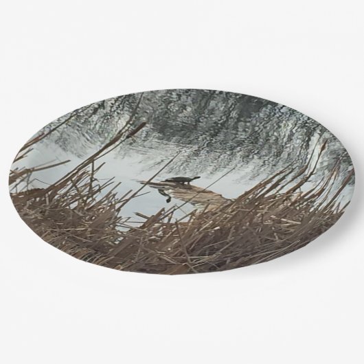 Winter-Sonnenwende Pappteller (Schrägansicht)