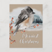 Winter Sparrow Ilex Berries Zweig Waldlandschaft Postkarte (Vorderseite)