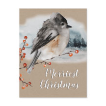 Winter Sparrow Ilex Berries Zweig Waldlandschaft