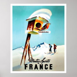 Winter sports in France, little bird in her home Poster