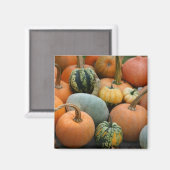 Winter Squash Magnet (Vorderseite/Rückseite)