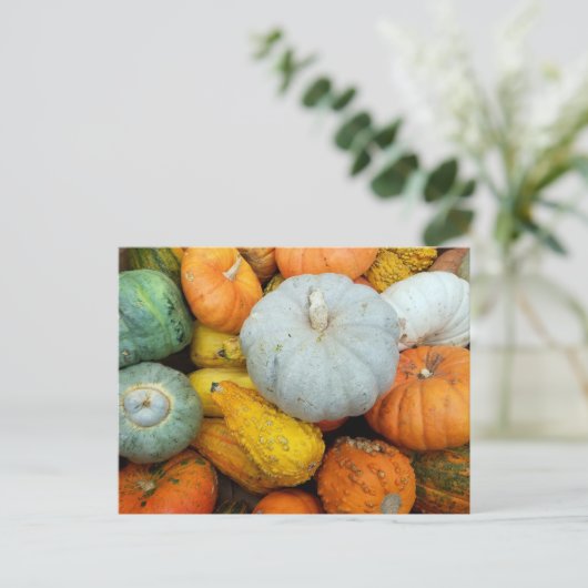 WINTER SQUASH POSTKARTE (Stehend Vorderseite)