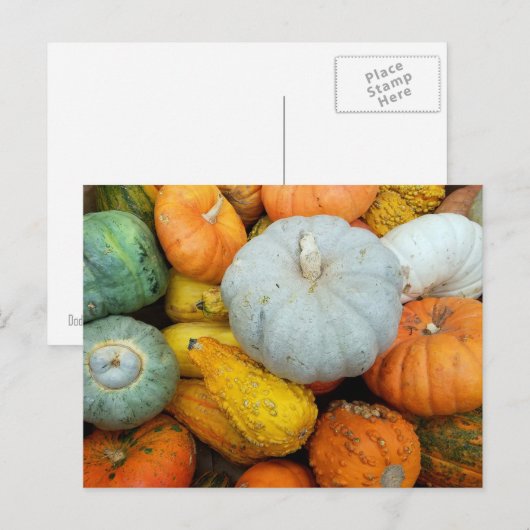 WINTER SQUASH POSTKARTE (Vorne/Hinten)
