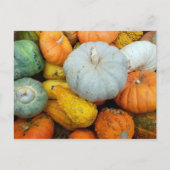 WINTER SQUASH POSTKARTE (Vorderseite)