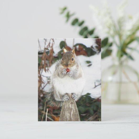 Winter Squirrel Postkarte (Stehend Vorderseite)