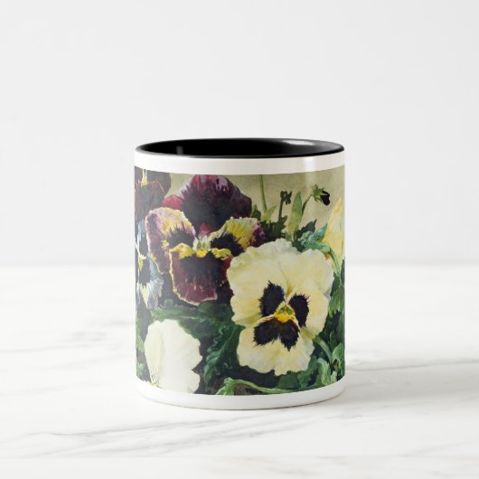 Winter-Stiefmütterchen, 1884 Zweifarbige Tasse (Mittel)