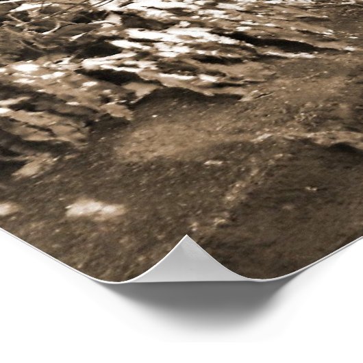 Winter Stone Bridge Poster (Ecke)