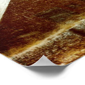 Winter Storm Barn Poster (Ecke)