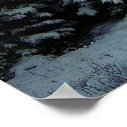 Winter Storm Poster (Ecke)