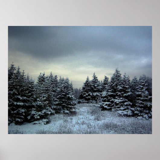 Winter Storm Poster (Vorne)