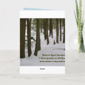 Winter-Straßen-Fotografie-Gruß-Karte Karte (Rückseite)