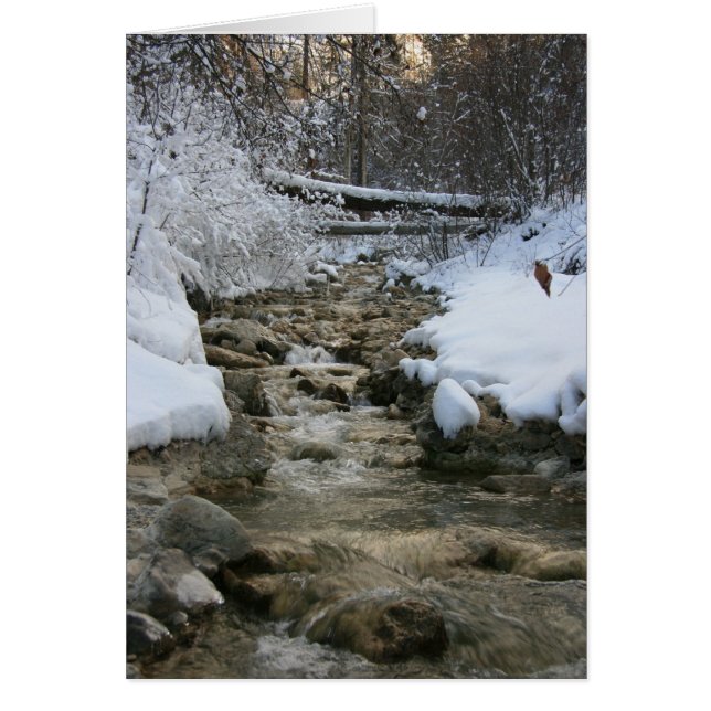 Winter Stream (Vorne)