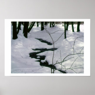 Winter Stream Poster