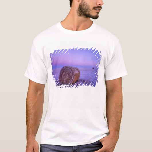 Winter-Stroh emballiert nahe Cartwright-Norden T-Shirt (Vorderseite)