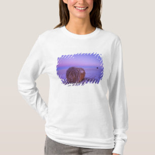 Winter-Stroh emballiert nahe Cartwright-Norden T-Shirt
