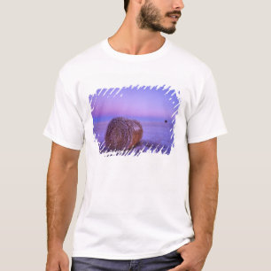 Winter-Strohballen in der Nähe von Cartwright Nort T-Shirt