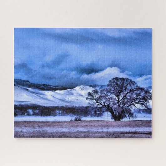 Winter Sturmbrauen in den Bergen - 16x20 Zoll Puzzle (Horizontal)