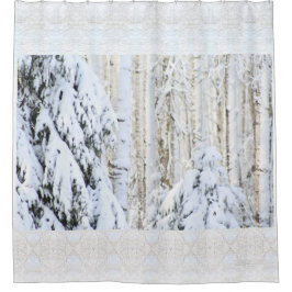 Winter Sun auf weiße Fichte-Pappel-Wald Duschvorhang