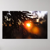 Winter Sun Poster (Vorne)