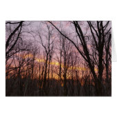 Winter Sunrise II (Vorderseite (Horizontal))