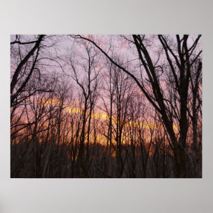 Winter Sunrise II Poster