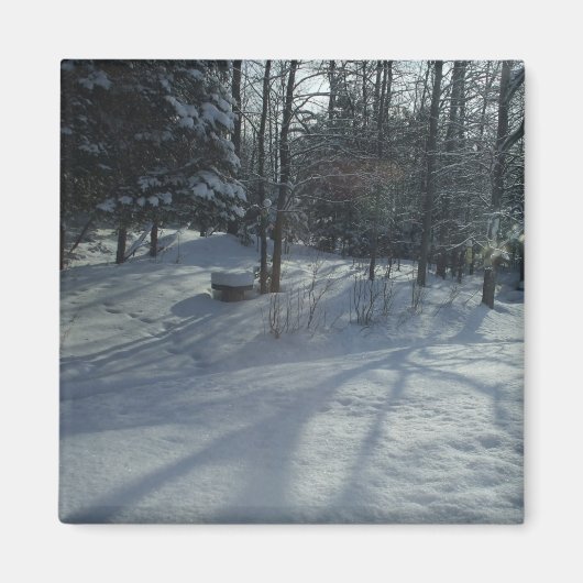 Winter Sunrise Magnet (Vorne)