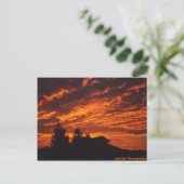 Winter Sunrise Postcard Postkarte (Stehend Vorderseite)
