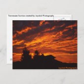 Winter Sunrise Postcard Postkarte (Vorne/Hinten)