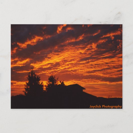 Winter Sunrise Postcard Postkarte (Vorderseite)