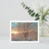 Winter Sunrise Postkarte (Stehend Vorderseite)